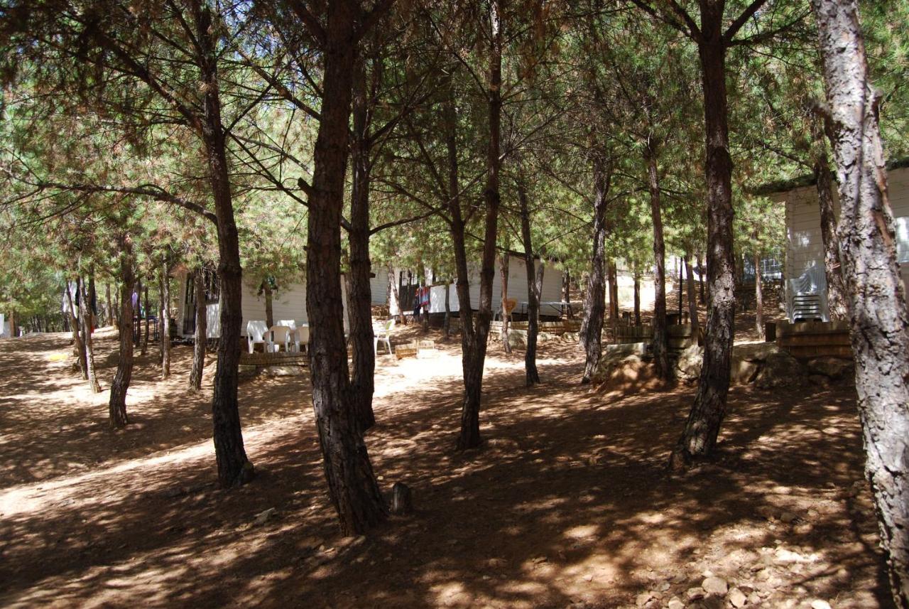 Camping Valdearenas 이즈나얄 외부 사진