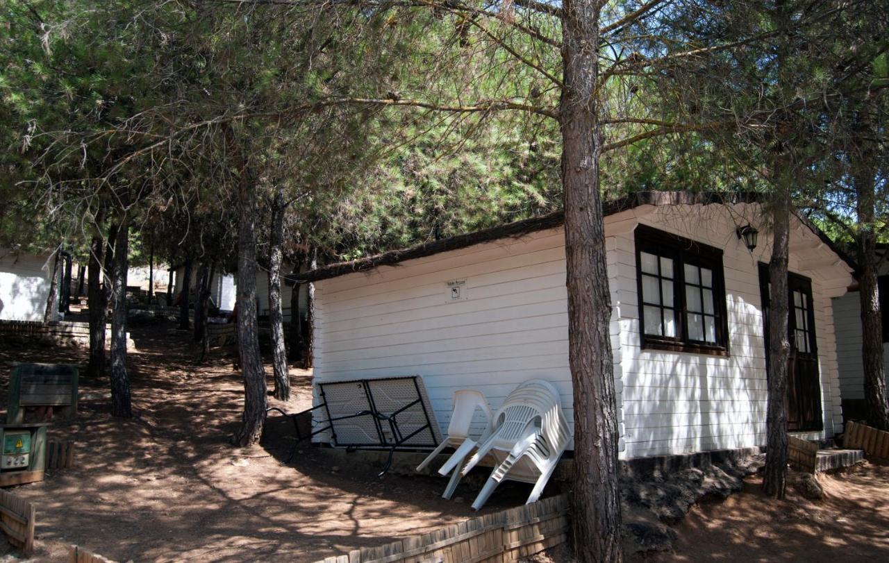 Camping Valdearenas 이즈나얄 외부 사진